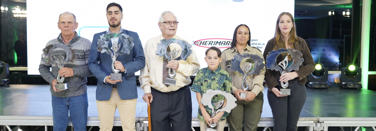 Colosos premiados en esta 12va edición.